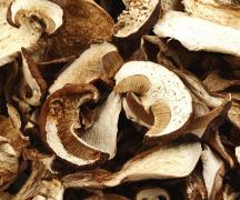 Секреты приготовления грибного супа из заготовленных сушеных грибов